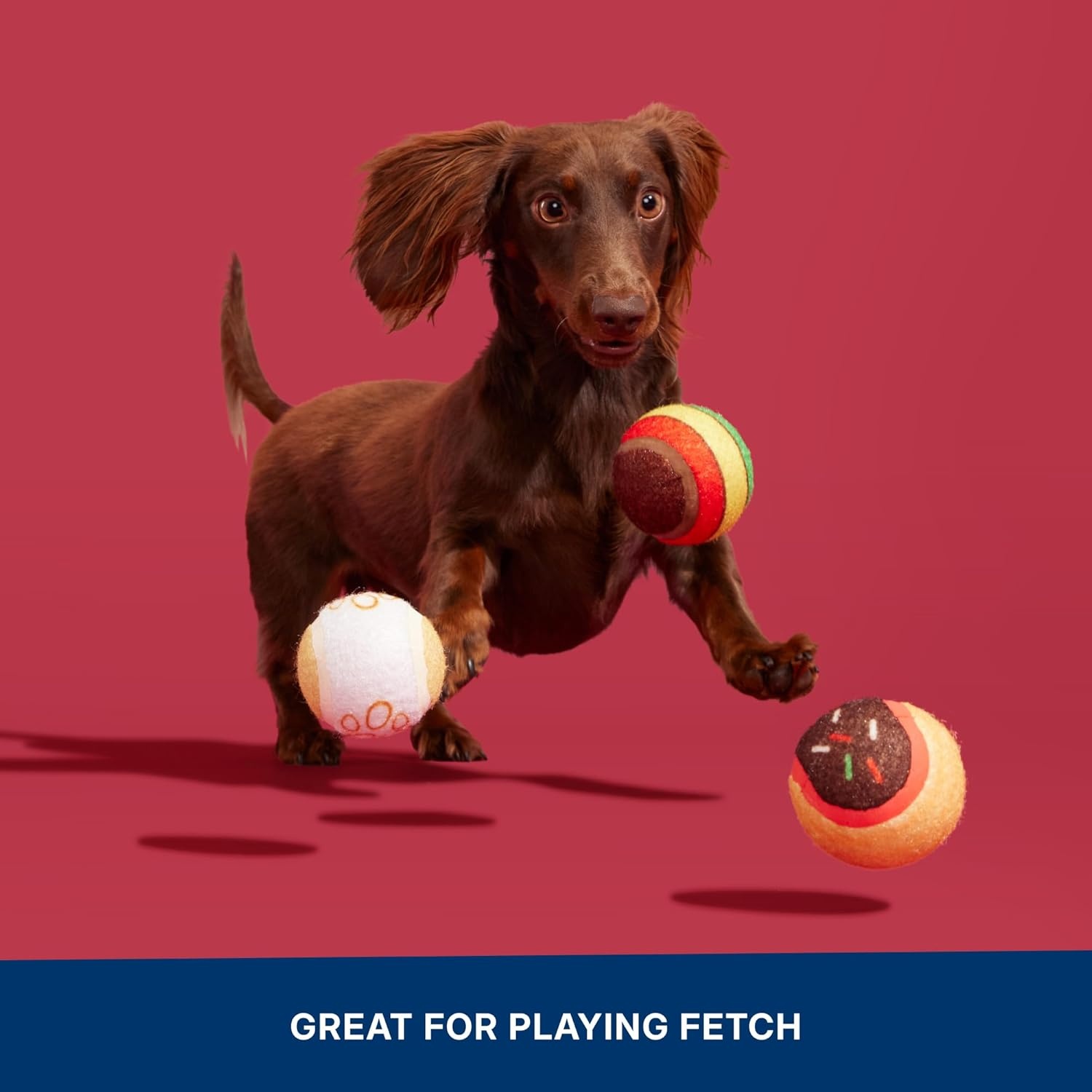 image:imageBarkbox Ballscoti Cookies Rubber Tennis Balls for Dogs amp Puppies ItalianInspired Trio of Squeaky Fetch Balls for Bounce Chase amp Play Durable Engaging amp Fun for Playful PupsBallscoti