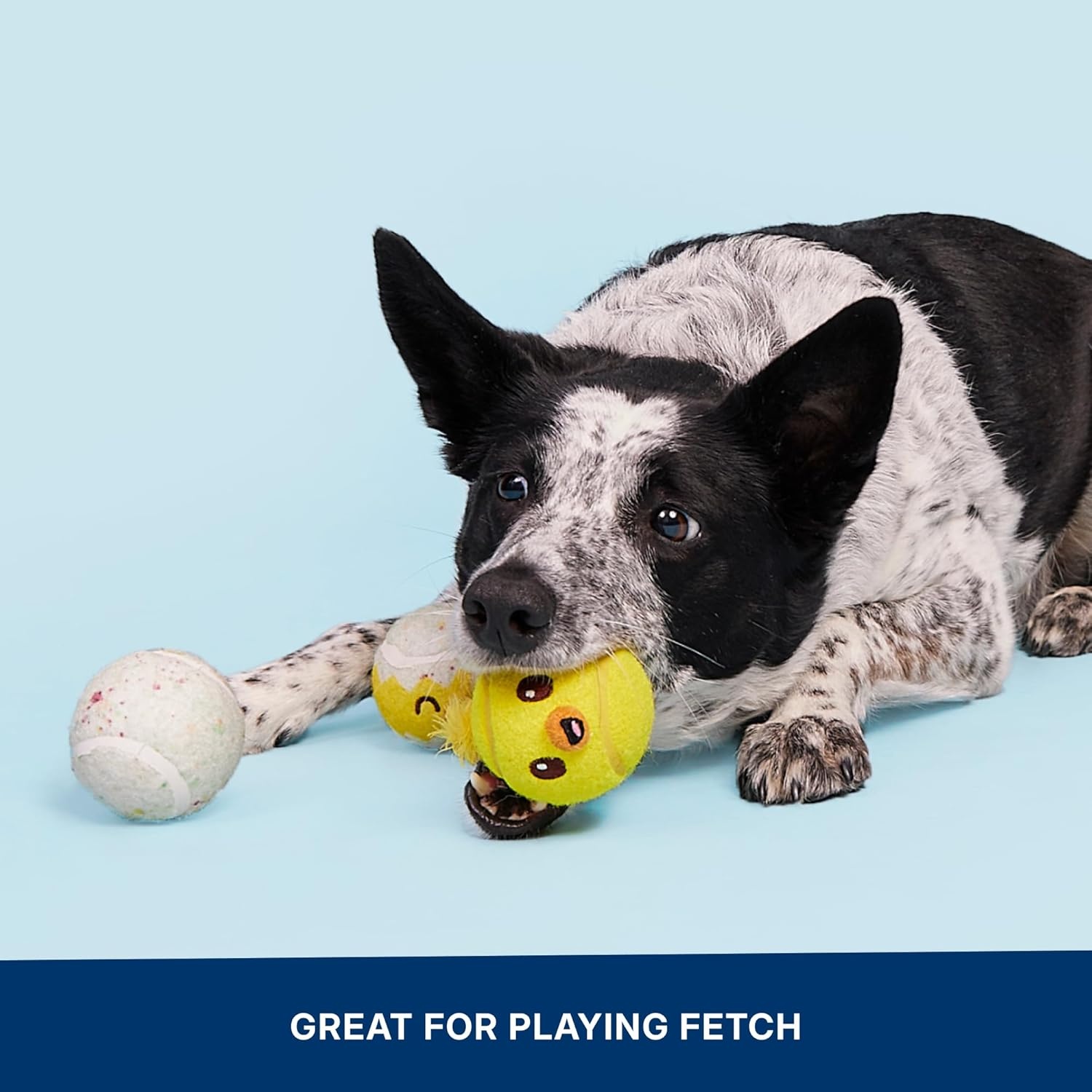 image:imageBarkbox Ballscoti Cookies Rubber Tennis Balls for Dogs amp Puppies ItalianInspired Trio of Squeaky Fetch Balls for Bounce Chase amp Play Durable Engaging amp Fun for Playful PupsPlay Hatch