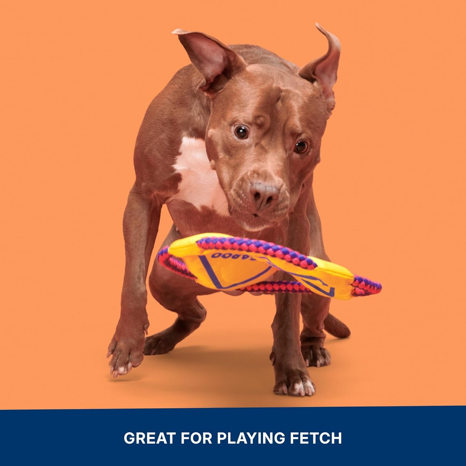 image:imageBarkbox Slobbermelon Fetch Flying Disc Dog Toy FluffFree Crinkle Disc with TShirt Rope Edge Durable Fetch amp Tug Toy for Dogs amp PuppiesKangaroo Tossing