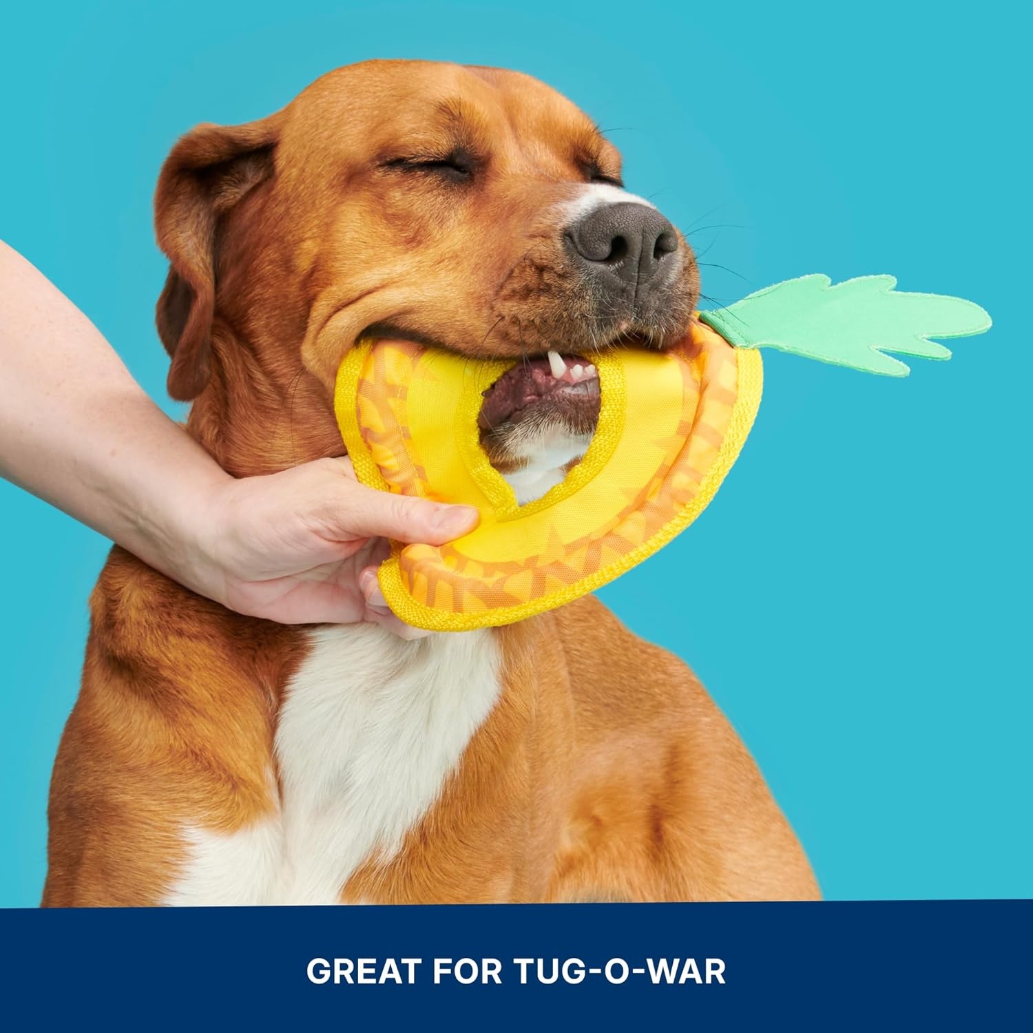 image:imageBarkbox Slobbermelon Fetch Flying Disc Dog Toy FluffFree Crinkle Disc with TShirt Rope Edge Durable Fetch amp Tug Toy for Dogs amp PuppiesPineapple Fling