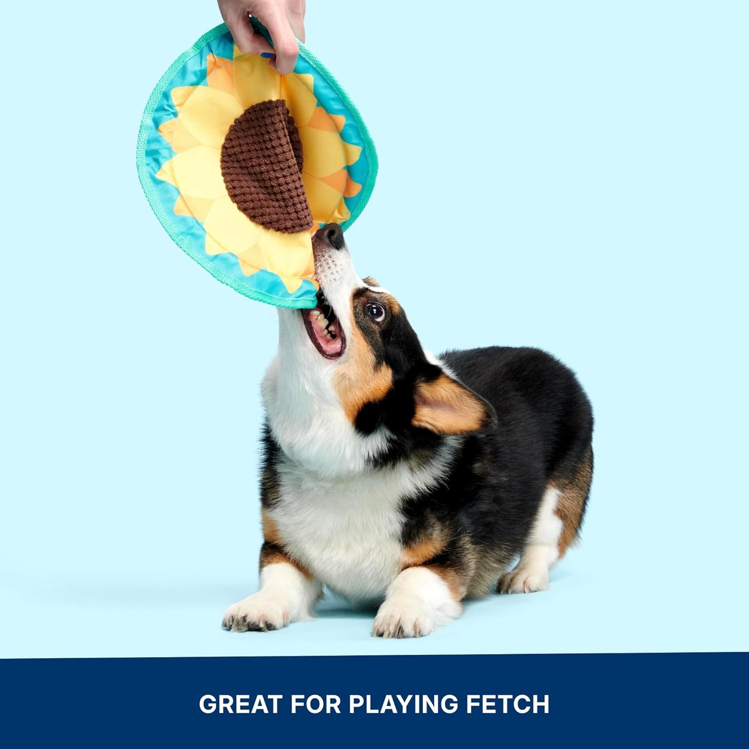 image:imageBarkbox Slobbermelon Fetch Flying Disc Dog Toy FluffFree Crinkle Disc with TShirt Rope Edge Durable Fetch amp Tug Toy for Dogs amp PuppiesSunflower Flinger