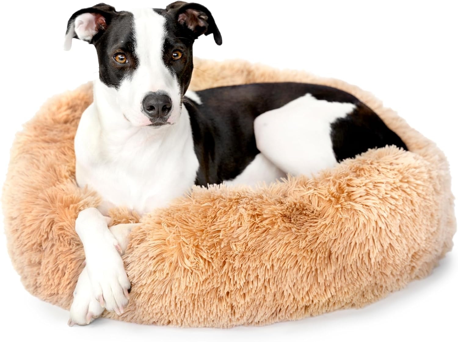 image:imageBarkbox Dog Bed 2in1 Memory Foam Donut Cuddler Dog and Cat Bed Calming Orthopedic Joint Relief Fur Crate Lounger for Pets Machine Washable Removable Cover Waterproof Lining Includes ToySand