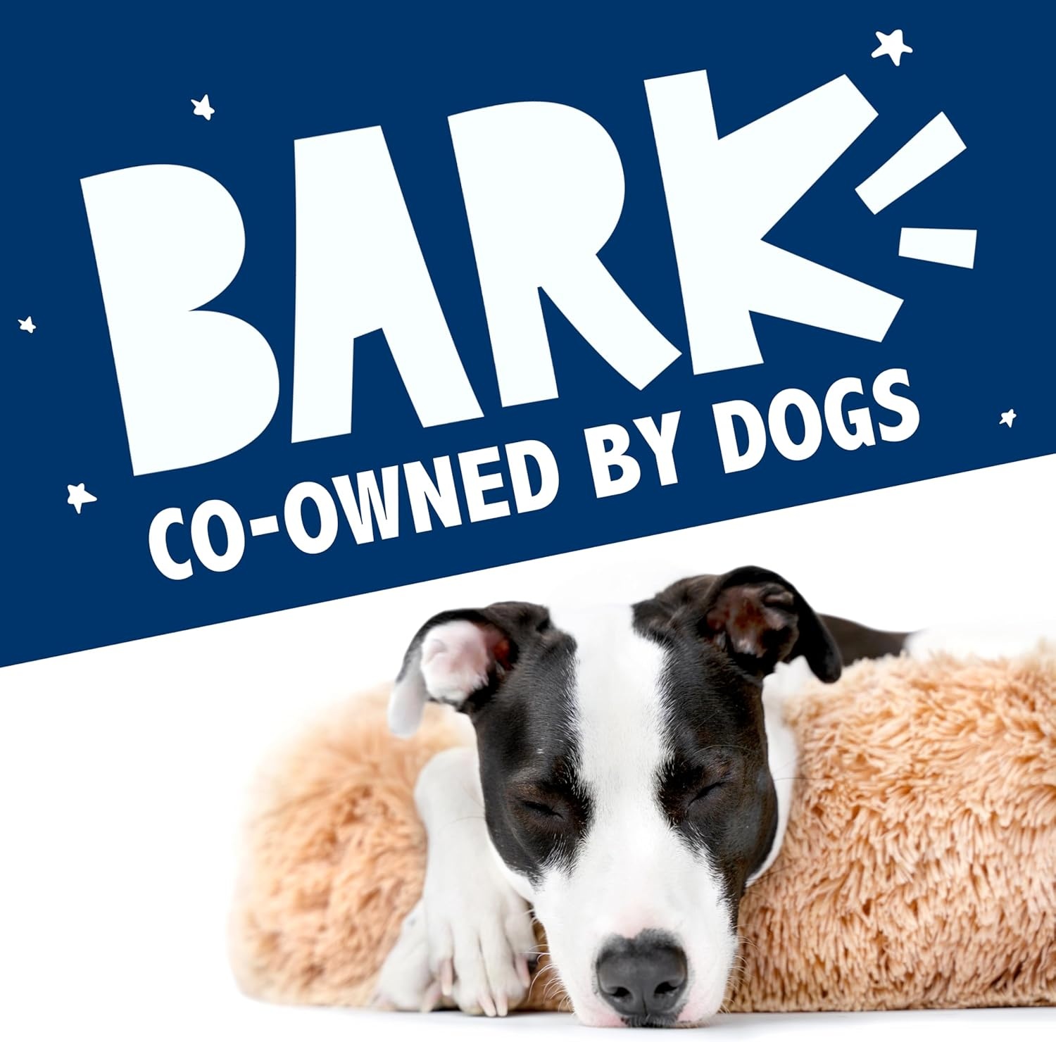 image:imageBarkbox Dog Bed 2in1 Memory Foam Donut Cuddler Dog and Cat Bed Calming Orthopedic Joint Relief Fur Crate Lounger for Pets Machine Washable Removable Cover Waterproof Lining Includes ToyGrey