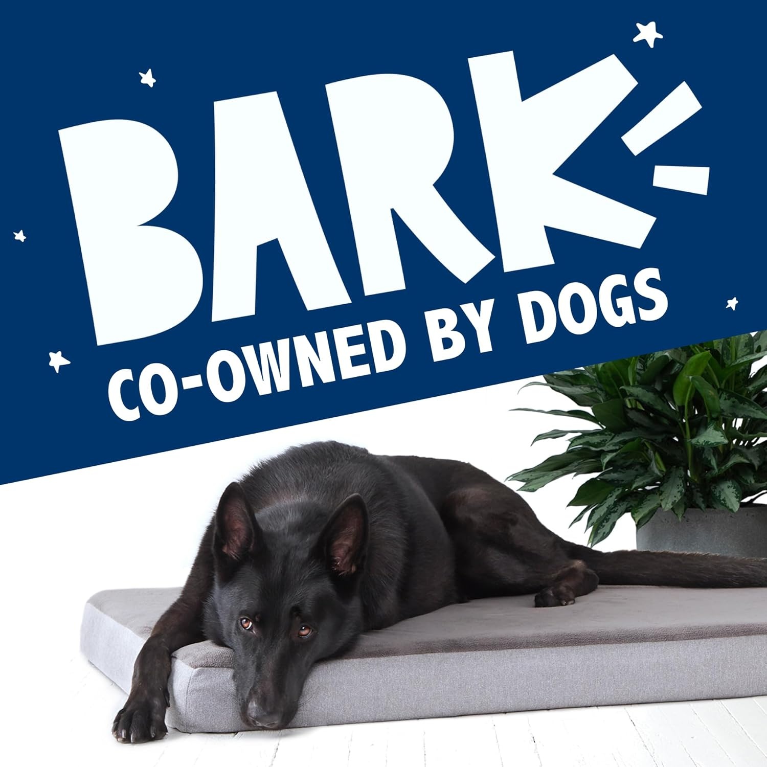 image:imageBarkbox Orthopedic Dog Bed with Memory Foam Premium Comfort for Dogs and Puppies Dog Bed for Joint Relief and Restful Sleep Durable and Easy to Clean Espresso LargeGrey
