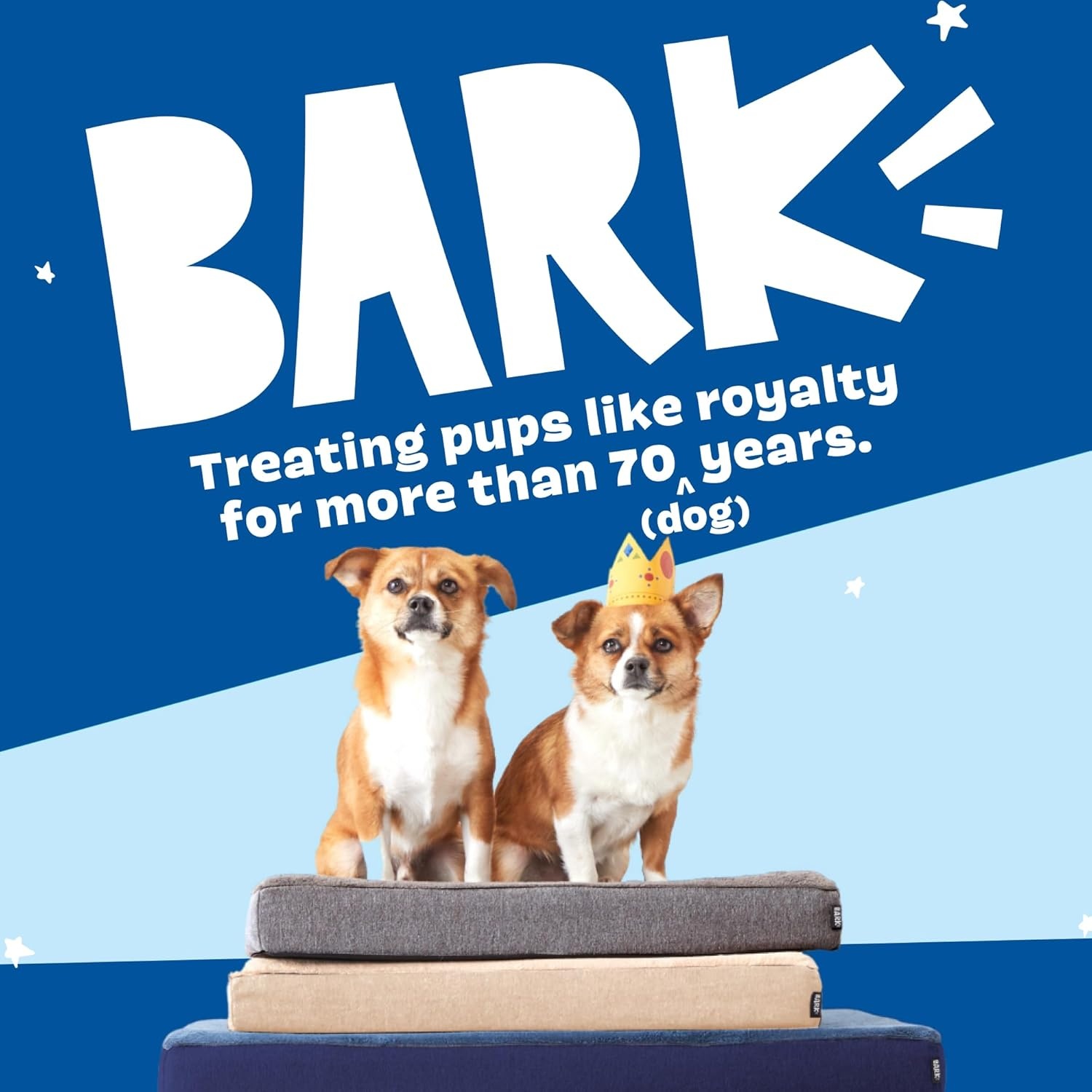 image:imageBarkbox Orthopedic Dog Bed with Memory Foam Premium Comfort for Dogs and Puppies Dog Bed for Joint Relief and Restful Sleep Durable and Easy to Clean Espresso LargeGrey