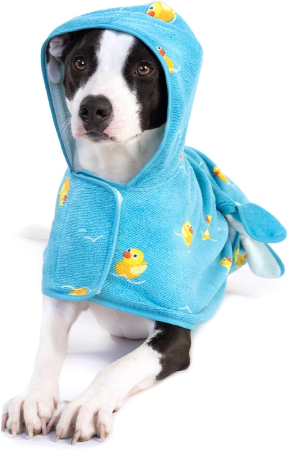 image:imageBarkbox Dog Bathrobe Fast Drying with Hook and Loop Closure amp Wrap Tie Snuggle Cute Dogs Clothes Easy to Clean Machine Washable Dog Coats and Tumble Dry Low Lion MediumRubber Duck