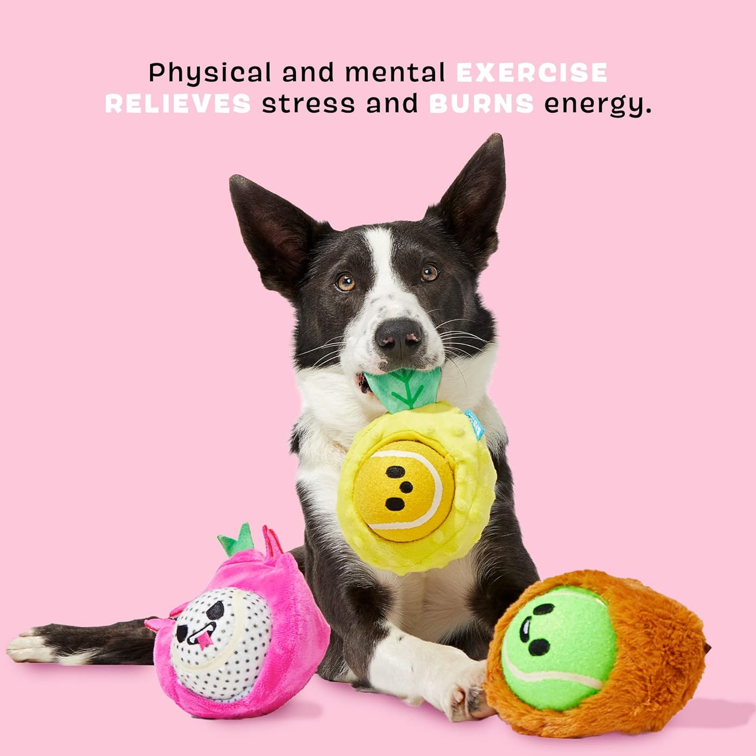 image:imageBarkbox Fruity Cutie Tropical Trio 6in1 Interactive Dog Toy Balls Plush Chew Toys with Squeaky Tennis Balls and Crinkle for Small Dogs and Puppies