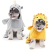 Lion/Rhino